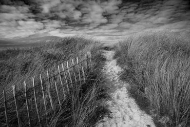 Michael Kunze: Zum Meer